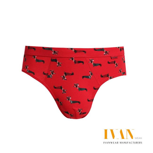 Men's Printed Underwear