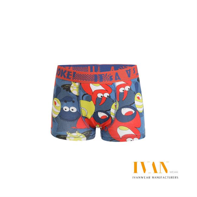 Boy's Boxer